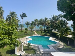 A swimming pool with a curved design, surrounded by palm trees and a view of the ocean.