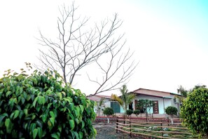 Unclassified image, 3 of 43, button - The Restfo Pench Tiger Resort (Ramtek)