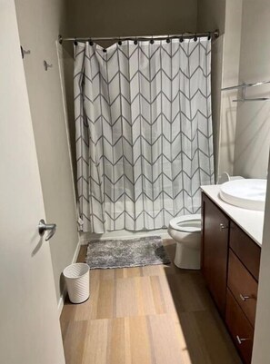 Shower - Modern Suite “CWE” (St. Louis)