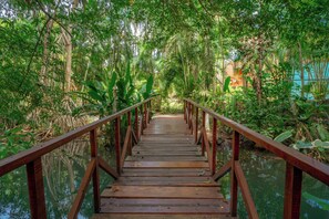 Property grounds - Tropical Garden Apt w/ Private Beach Access & Pool (Jaco)