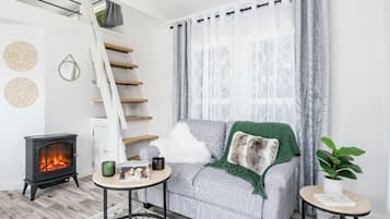 Smart TV, lareira, livros, biblioteca musical