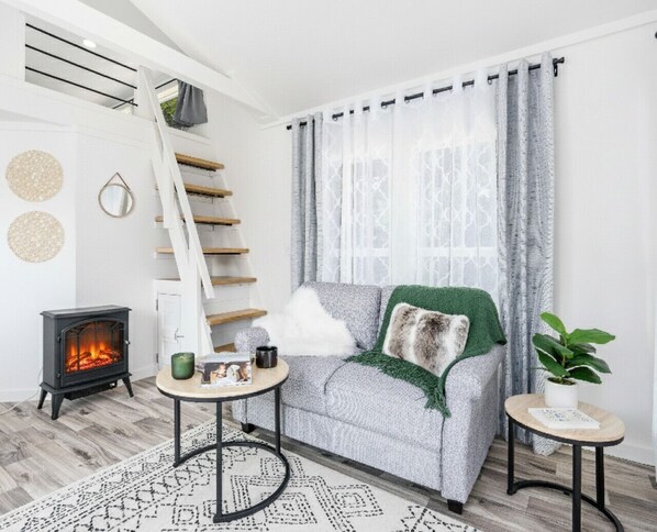 Smart TV, fireplace, books, music library