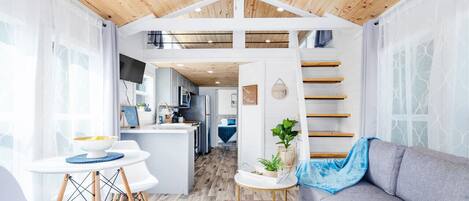 TV connectée, livres, médiathèque