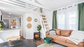 Smart TV, chimenea y libros