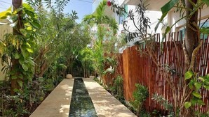 Un étroit sentier, agrémenté d’une fontaine centrale, bordé d’une végétation tropicale luxuriante et d’une clôture en bois.