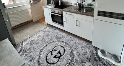 Zu Vermieten: Moderne Wohnung in Mitte Passau mit Stilvoller Einrichtung!