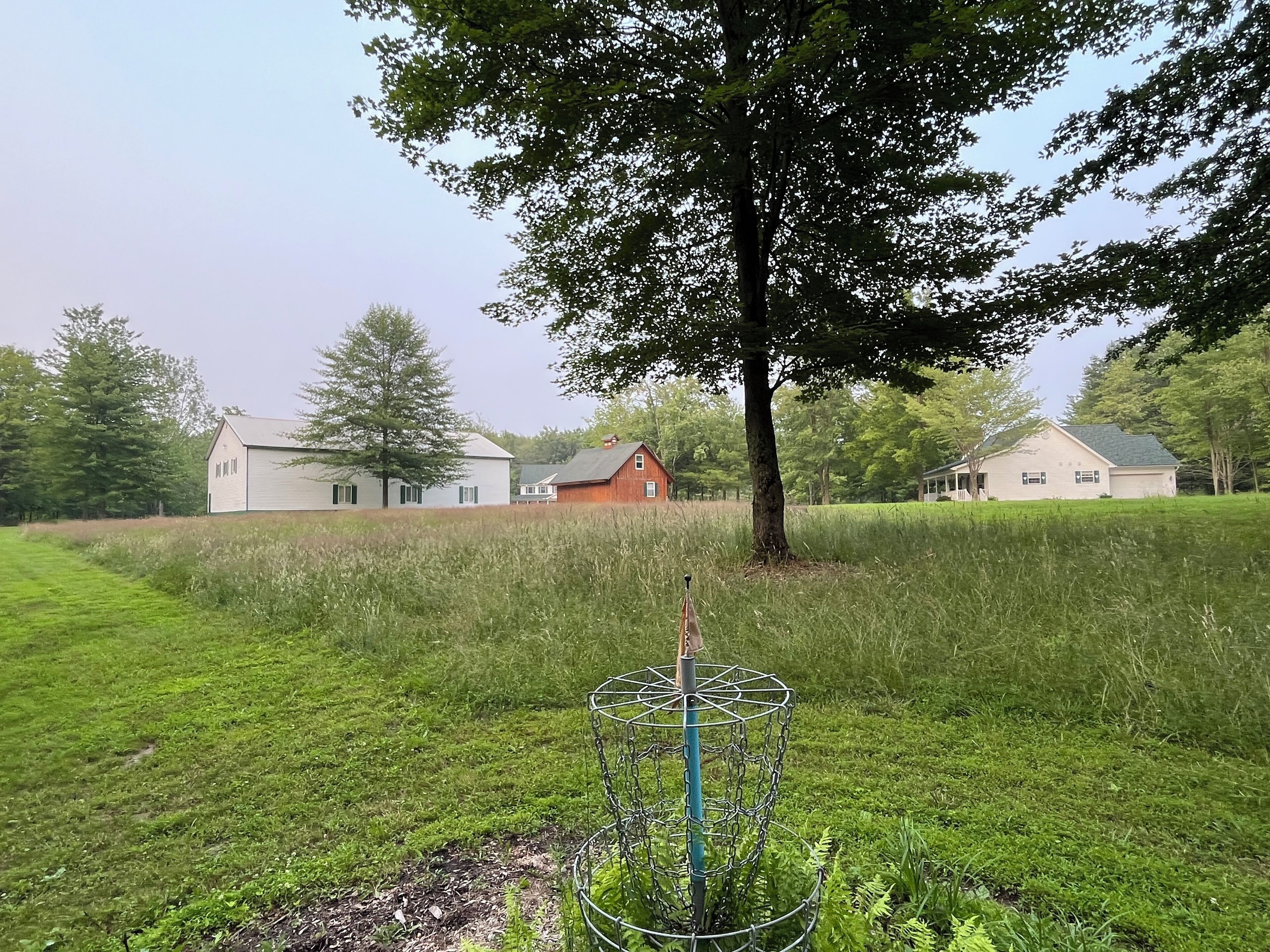 A grassy field with a disc golf basket, a large tree, and two houses in the background.