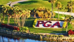 A golf course with a PGA sign, water body, and palm trees.