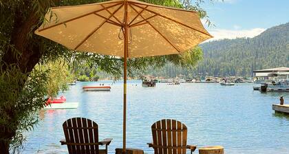Lake front cabin with large private beach and dock, plus forest suite and dome.