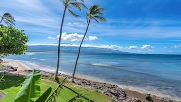 Una playa con palmeras, cielo despejado y vista al océano.