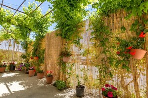 Apartment | 1 Schlafzimmer