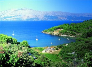 House - Holiday Houses, Villas Lumos - Panoramic View & Olive Garden (Postira)