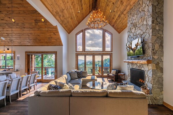 TV, fireplace, video library