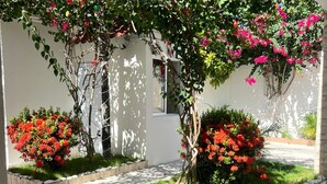 A modern outdoor area with a paved walkway, a white wall, and various flowering plants. - Hotel 1325 (Bani)