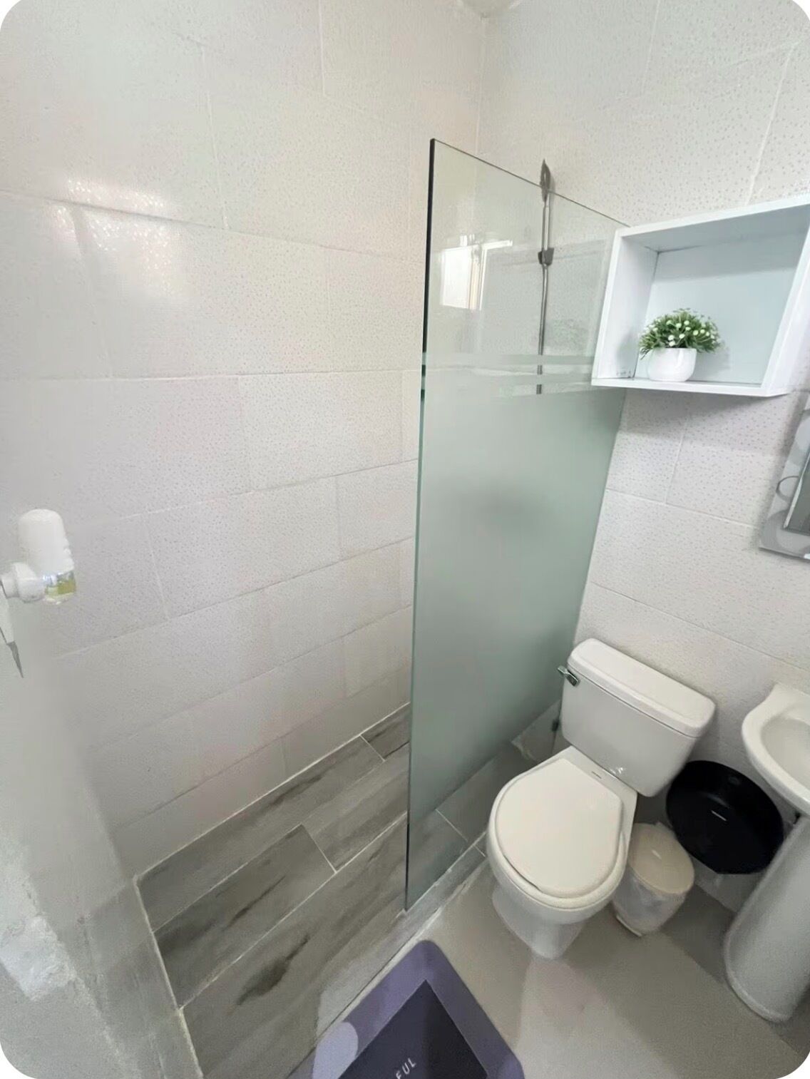 Dusche, Regendusche, kostenlose Toilettenartikel