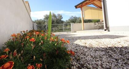 Olive - H 4 2 in Privlaka