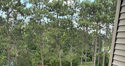 Village at Winnipesaukee Condo!