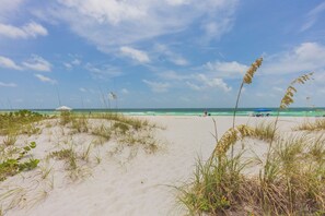 Een strand met zandduinen en schaarse begroeiing.