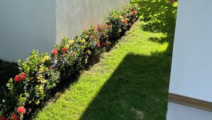 Un bâtiment moderne doté d’une grande fenêtre, d’une pelouse bien entretenue et d’une variété de plantes à fleurs disposées le long de la bordure.