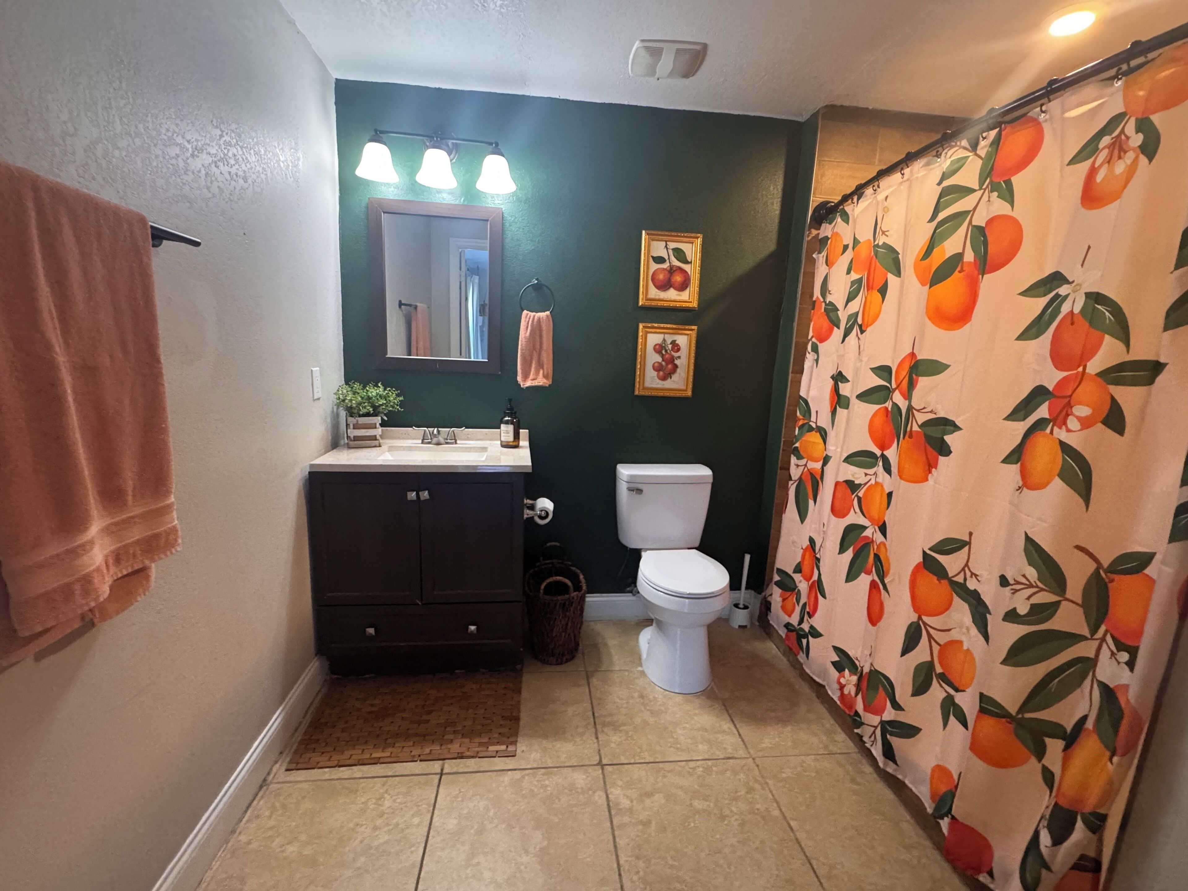 Hair dryer, towels, soap, toilet paper