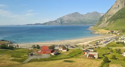 Norhernlight Luxus home -5 min AirPort-free park
