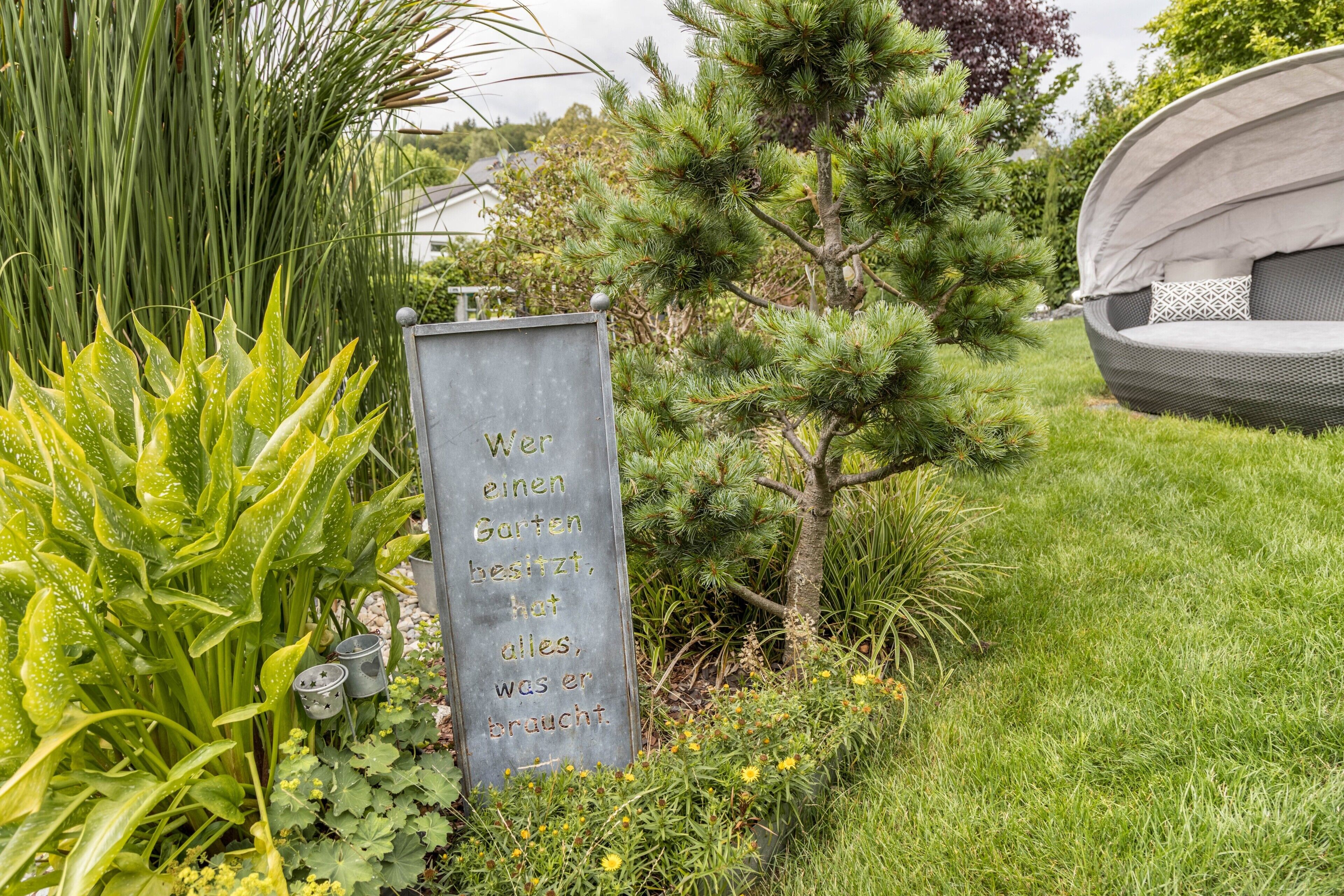 A garden with a sign, a small tree, and a tent-like structure.