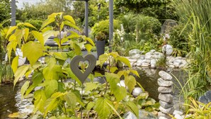 A garden with a heart-shaped decoration, a pond, and a metal pergola. - Deluxe Apartment 'Griesbaum' with Private Terrace, Shared Garden and Wi-Fi (Tengen-Büßlingen)