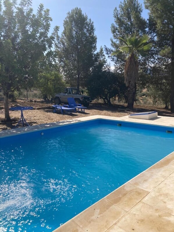 Pool - Burruelo Ranch in Algodonales (Algodonales)