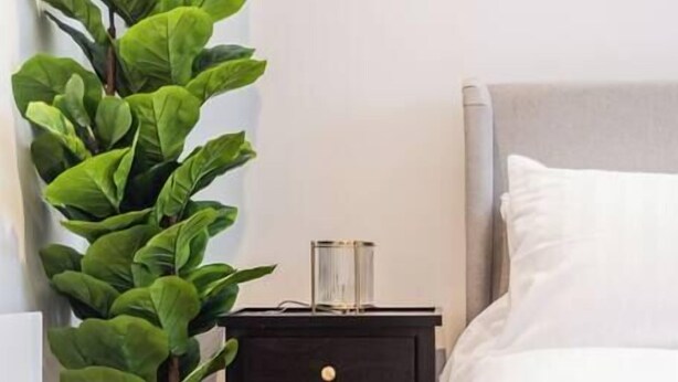 A bedroom with a bed, a nightstand with drawers, a potted plant, and a window. - Spacious Stylish Studio, Hoylake (Hoylake)