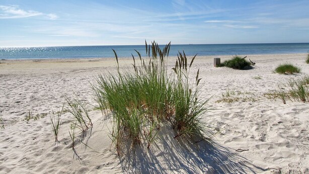 A sandy beach with sparse vegetation and a clear sky. - "Blakke" - 250m from the sea by Interhome (Nexø)