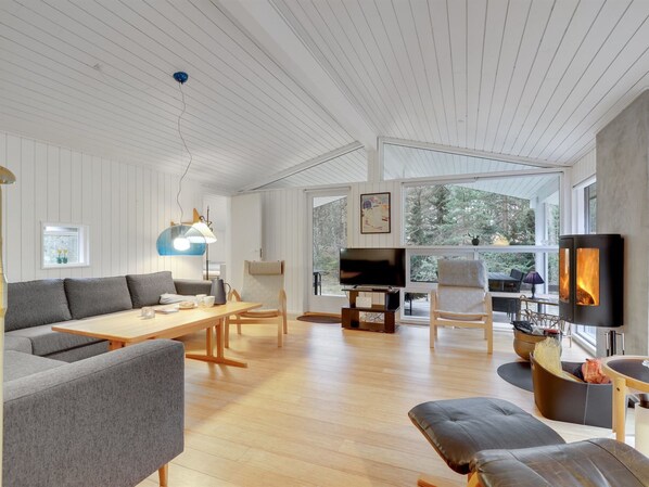 TV, fireplace, DVD player