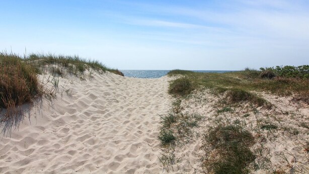 Een zandpad langs het strand, met duinen en schaarse begroeiing.