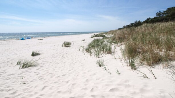 A sandy beach with dunes and sparse vegetation. - "Nahuel" - 200m from the sea by Interhome (Nexø)