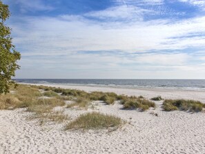 A sandy beach with dunes and sparse vegetation. - "Loke" - 300m from the sea by Interhome (Nexø)