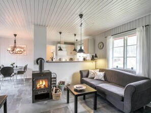 TV, fireplace, DVD player