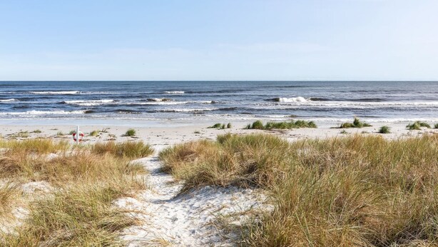 A beach with a sandy path leading to the ocean, surrounded by dunes. - "Selvi" - 125m from the sea by Interhome (Nexø)