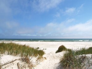 A beach with sand dunes and grass in the foreground, leading to the ocean.
