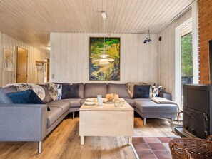 Tv, pejs, dvd-afspiller
