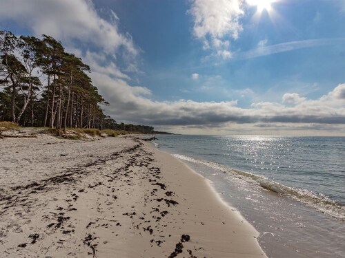 "Hildegerd" - 500m from the sea by Interhome