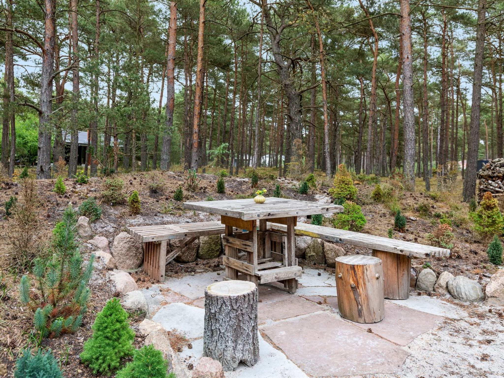 En rustik utomhusplats med sittmöbler, bestående av ett träbord och träbänkar, omgiven av en skog.
