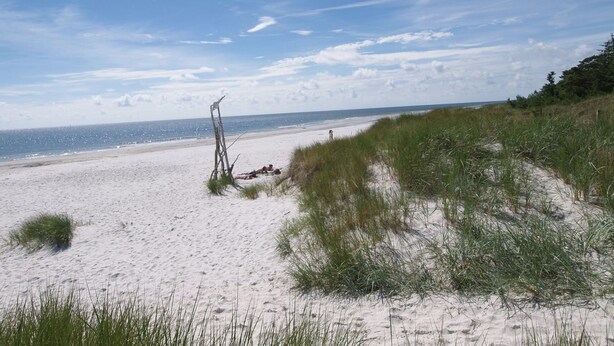 A beach with white sand, a wooden structure, and green dunes. - "Dagi" - 300m from the sea by Interhome (Nexø)