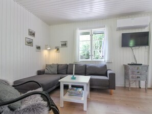 Télévision, cheminée, lecteur de DVD