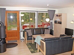 Tv, pejs, dvd-afspiller