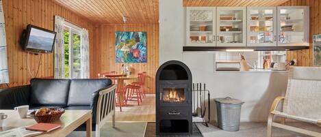 تلفزيون، مدفأة، مشغل دي في دي