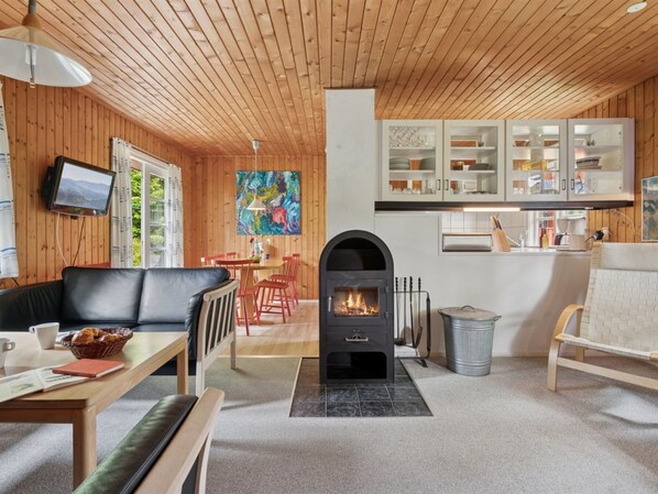 TV, fireplace, DVD player