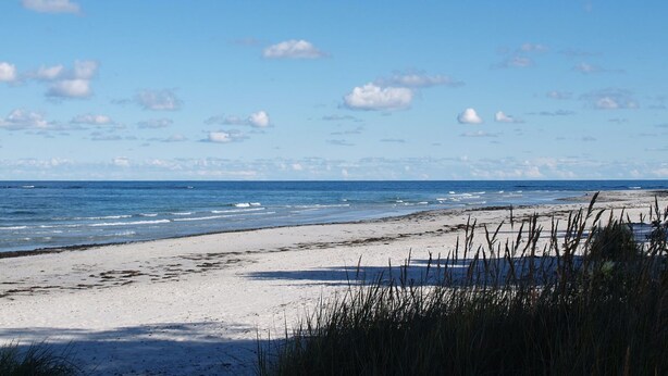 A beach with clear skies and waves.