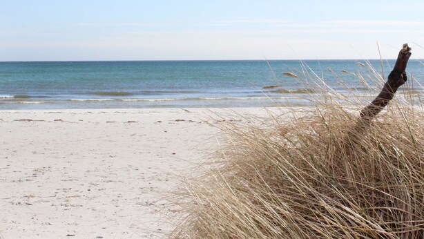 En strand med sandet og et stykke drivtømmer i forgrunden.