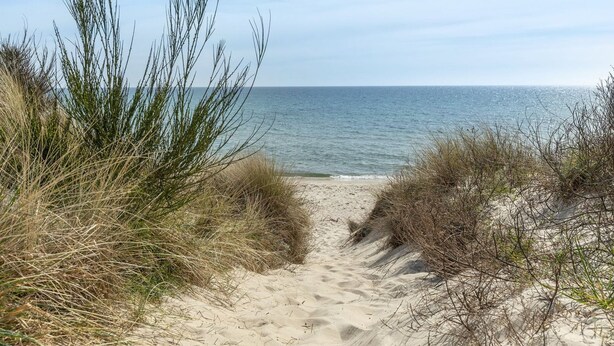 Un sentier de sable qui longe la plage et mène à la mer, bordé d’herbe et d’arbustes.