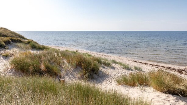 A beach with sand dunes and a clear view of the ocean. - "Chenoa" - 200m from the sea by Interhome (Aakirkeby)