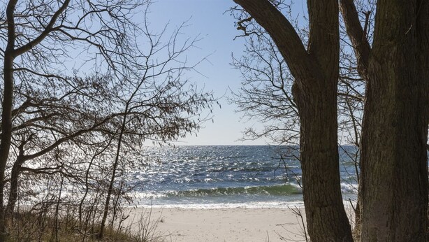 A sandy beach with a clear view of the ocean and a tree-lined path leading to the water.